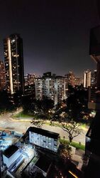 Cuscaden Reserve (D10), Condominium #496188261